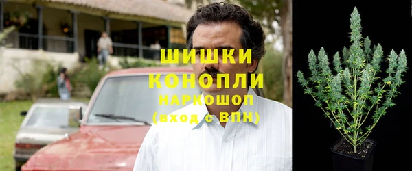 трава Медногорск