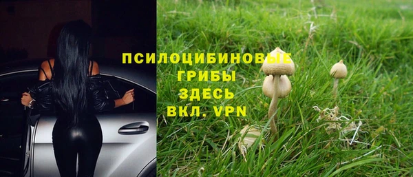 трава Медногорск