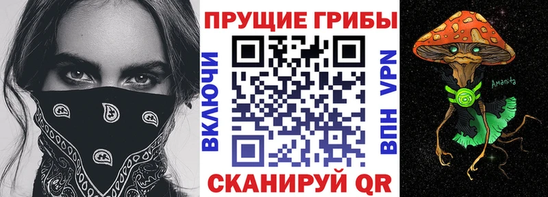 Галлюциногенные грибы мицелий Чебаркуль